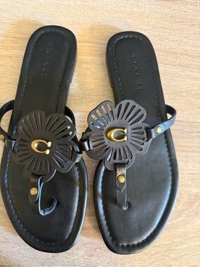 Coach Flip Flops